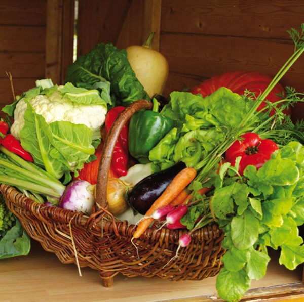 Des légumes, des fruits, des produits locaux La fraîcheur dans votre assiette
